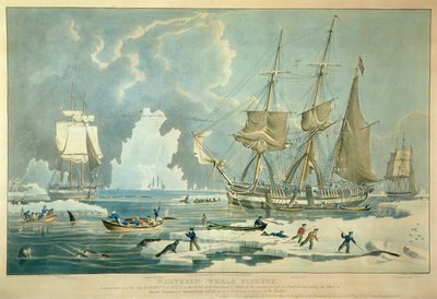 Northern Whale Fishery, gravura de E. Duncan de William John (after) Huggins