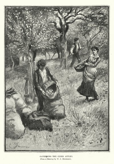 Apanhar as maçãs para sidra (litografia) de William John Hennessy