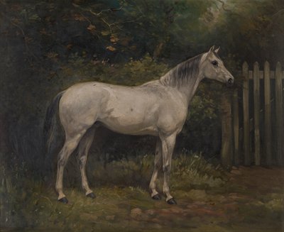 Pickles: um pónei Basuto, c.1904 (óleo sobre tela) de William Josiah Redworth