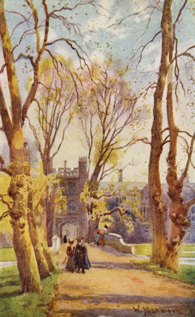 Trinity College Bridge e Avenue, com portão que leva ao novo tribunal de William Matthison