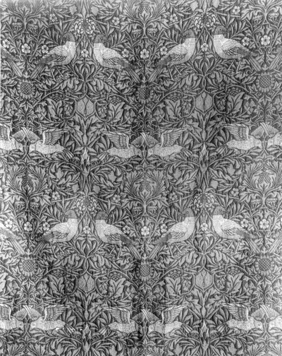 Desenho "Bird" de William Morris (1834-96) (lã tecida) (impressão a preto e branco) (para imagem a cores, ver 136483) de William Morris