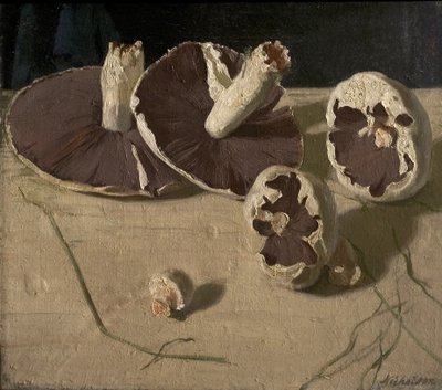 Cogumelos de William Nicholson