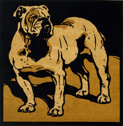 The British Bull-Dog, do 