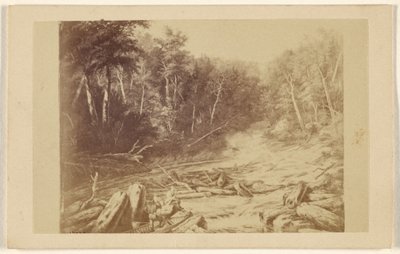 [Cópia de uma pintura que representa uma cena de rio com um homem numa canoa a pescar] de William Notman