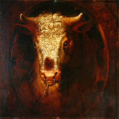 A cabeça do touro (óleo no painel de madeira) de William Overend Geller