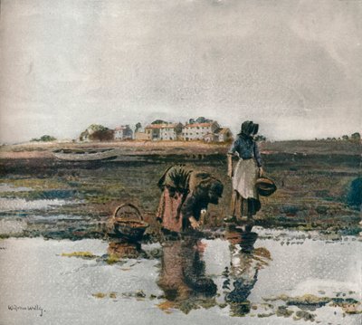 Colheita de mexilhão, c1908 de William Page Atkinson Wells
