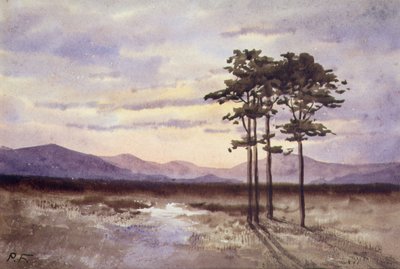 Sunset, Condado de Sligo (aguarela sobre papel) de William Percy French