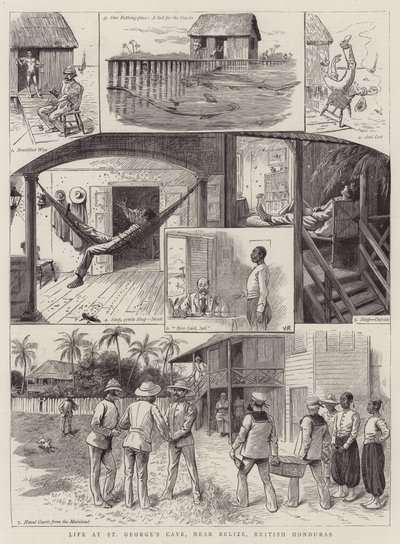 Vida, em, st george&39;s, caye, perto, belize, britânicas, honduras de William Ralston