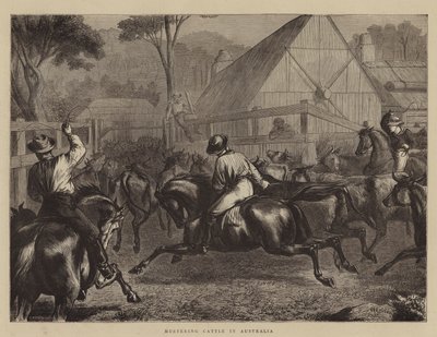 Gado Agressivo na Austrália de William Ralston