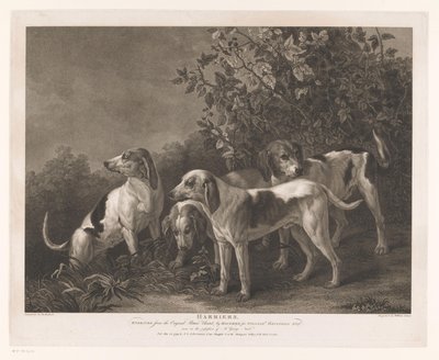 Quatro cães de caça
Harriers (título sobre o objecto) de William Satchwell Leney