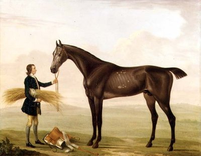Um Garanhão Cinzento Dapple detido por um noivo de William Shaw