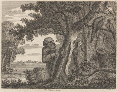 O Filósofo e os Faisões de William Skelton