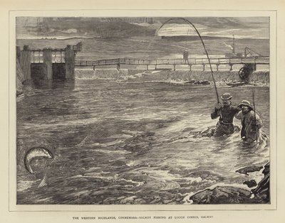 As terras altas ocidentais, Connemara, pesca de salmão em Lough Corrib, Galway de William Small