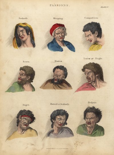 Paixões da Fisiognomia de William Smellie