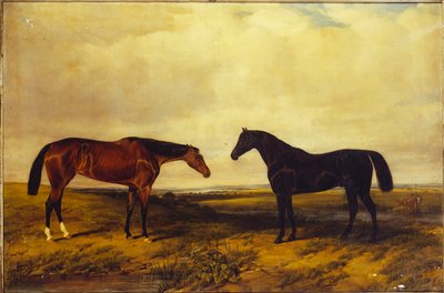 Potro da baía brilhante e garanhão da baía escura do conde de Granard, 1885 de William Snr. Luker