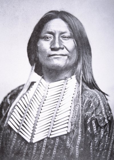 Comanche Tribesman de William Soule