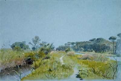 Castel FusanoPróximo a Roma, ca. 1885 de William Stanley Haseltine