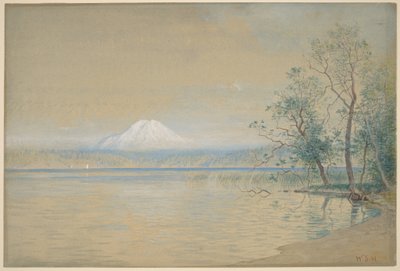  de William Stanley Haseltine