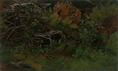 Estudo da Natureza. de William Stanley Haseltine