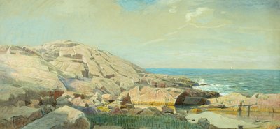 The Maine Coast at Sunset (suportes mistos em papel) de William Stanley Haseltine