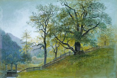 Vahrn no Tirol, perto de Brixen. de William Stanley Haseltine