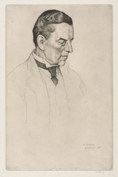 O Honorável Joseph Austen Chamberlain, 1903. de William Strang