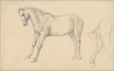 Estudos de um pônei de William Strutt