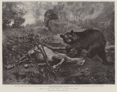 Que sorte! ou, como eu matei meu urso de William Strutt
