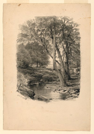 Desenho, Piscina no bosque, 1874 de William Trost Richards