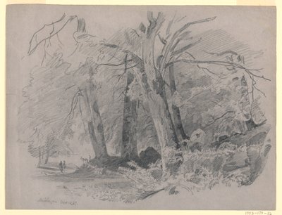 Paisagem, Meiringen, Suíça de William Trost Richards