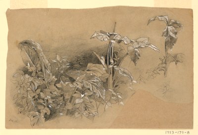 Estudo da folhagem de William Trost Richards