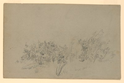 Estudo da folhagem de William Trost Richards
