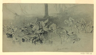 Estudo da folhagem de William Trost Richards