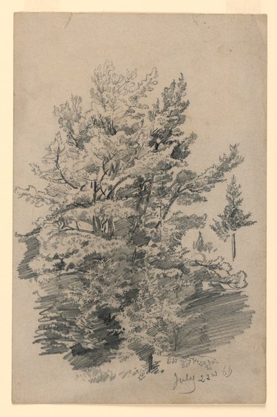 Estudo da folhagem de William Trost Richards