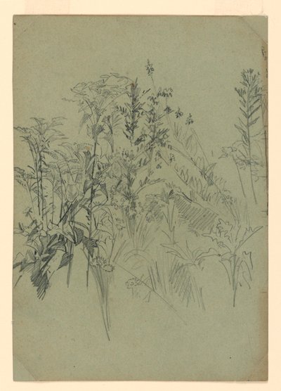 Estudo da folhagem de William Trost Richards
