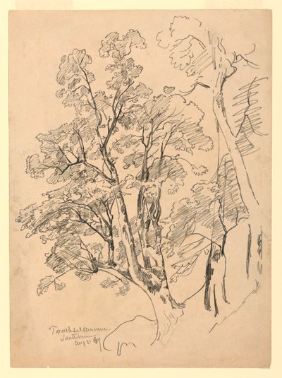 Estudo da folhagem, Trachselwald, Berna, Suíça de William Trost Richards