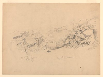 Estudo da folhagem, Trachselwald, Berna, Suíça de William Trost Richards