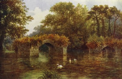 Rio Avon, Castelo de Warwick (cor litho) de William W. Quatremain