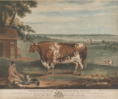 Retrato do Touro Patriota de Chifres Curtos de William Ward