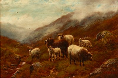 Ovelhas de montanha sobre uma colina (óleo sobre tela) de William Watson
