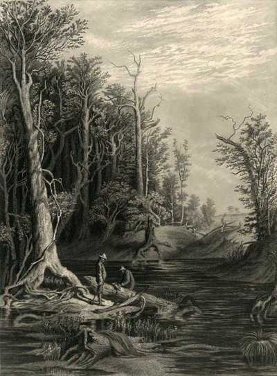 "The Chickahominy", 1872.   de William Wellstood