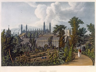 O jardim botânico, Cambridge, de "a história de Cambridge", gravado por Joseph Constantine Stadler (fl.1780-1812), bar. por R. Ackermann, 1815 (cor aquatint) de William Westall