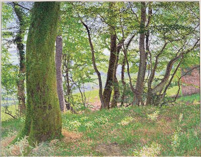 Tarde de Carmarthenshire de William Wilkins
