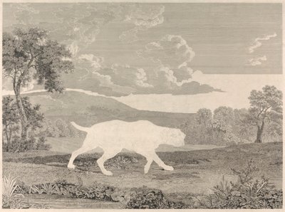 [O Ponteiro Espanhol de William Woollett