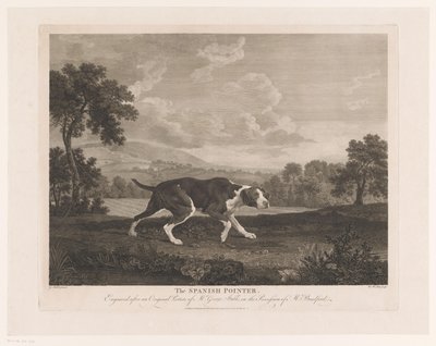Ponteiro espanhol na paisagem O ponteiro espanhol (título no objeto) de William Woollett