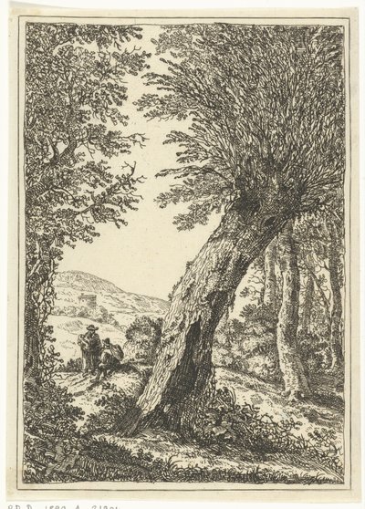 Salgueiro de William Young Ottley