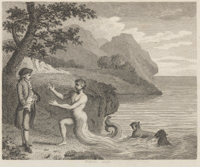 Courtier e Proteus de Wilson