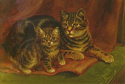 Um gato malhado com um gatinho de Wilson Hepple