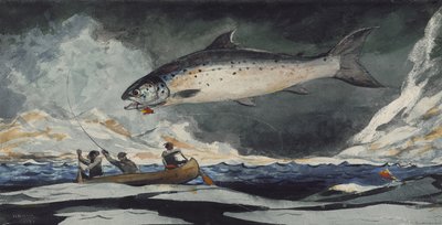 Uma boa piscina, rio Saguenay, 1895 de Winslow Homer