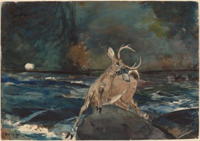 Um bom tiro, Adirondacks de Winslow Homer